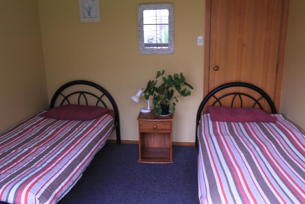 Bazil's Backpackers BBH Hostel&Surf School Westport Kamer foto